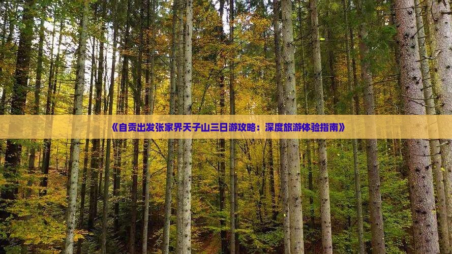 《自贡出发张家界天子山三日游攻略：深度旅游体验指南》