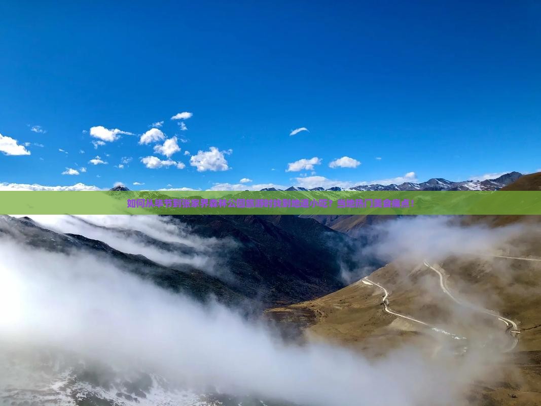 如何从毕节到张家界森林公园旅游时找到地道小吃？当地热门美食痛点！