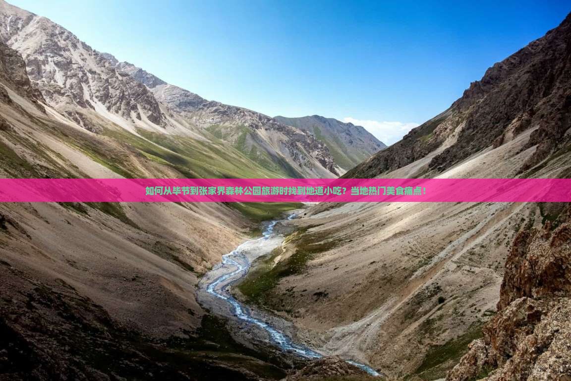如何从毕节到张家界森林公园旅游时找到地道小吃？当地热门美食痛点！