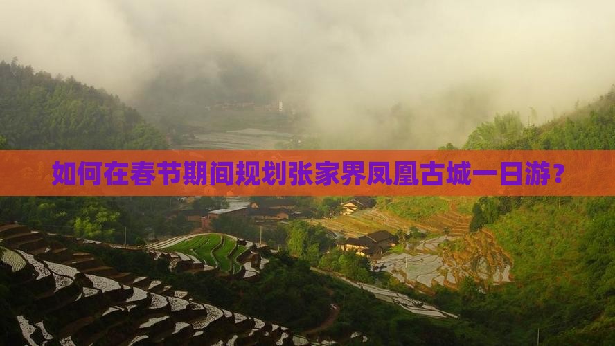 如何在春节期间规划张家界凤凰古城一日游？