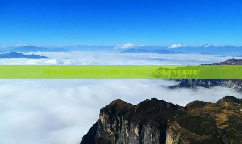 为何五月赴张家界天子山六日游成了热门选择？旅行痛点与必备攻略！