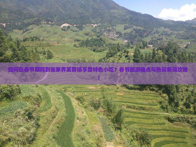 如何在春节期间到张家界芙蓉镇享受特色小吃？春节旅游痛点与热词新词攻略！