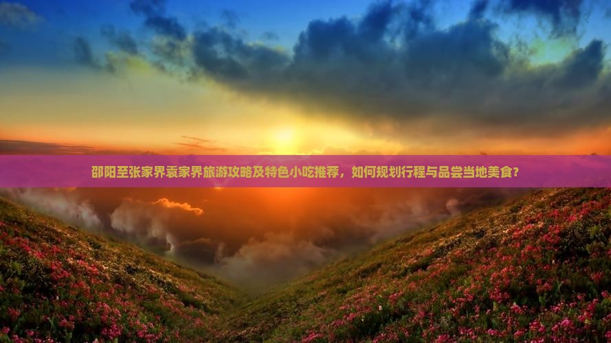 邵阳至张家界袁家界旅游攻略及特色小吃推荐，如何规划行程与品尝当地美食？