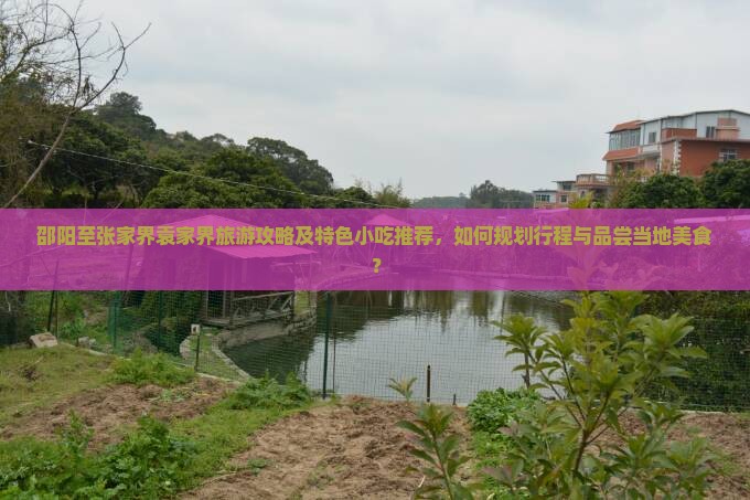 邵阳至张家界袁家界旅游攻略及特色小吃推荐，如何规划行程与品尝当地美食？