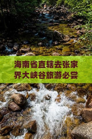 海南省直辖去张家界大峡谷旅游必尝特色小吃