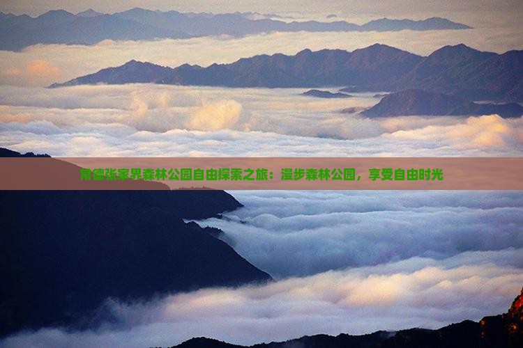 常德张家界森林公园自由探索之旅：漫步森林公园，享受自由时光