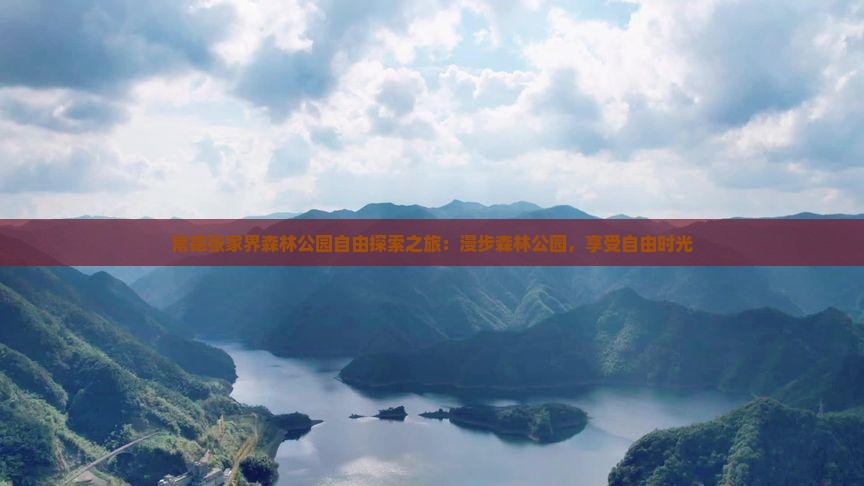 常德张家界森林公园自由探索之旅：漫步森林公园，享受自由时光
