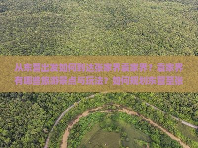 从东营出发如何到达张家界袁家界？袁家界有哪些旅游景点与玩法？如何规划东营至张家界袁家界的旅行路峡