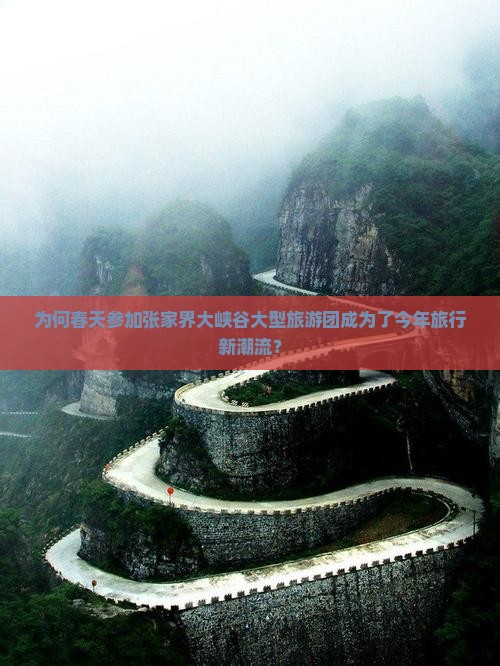 为何春天参加张家界大峡谷大型旅游团成为了今年旅行新潮流？