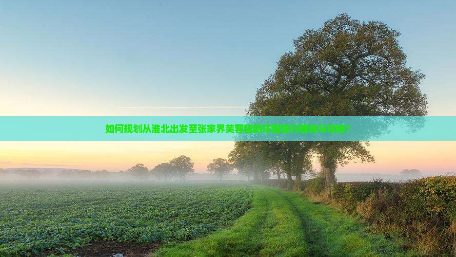 如何规划从淮北出发至张家界芙蓉镇的详细旅行路线与攻略？