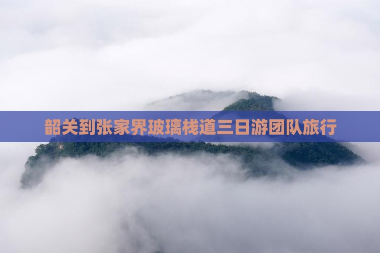 韶关到张家界玻璃栈道三日游团队旅行