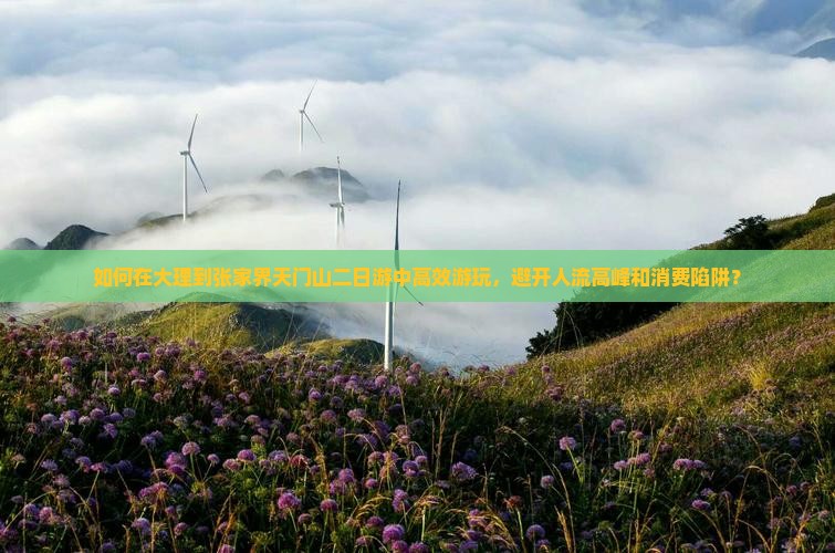 如何在大理到张家界天门山二日游中高效游玩，避开人流高峰和消费陷阱？