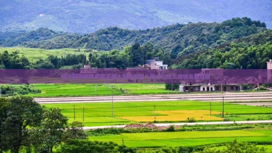铜川到张家界凤凰古城大型旅游团？担心价格太缚快来看攻略