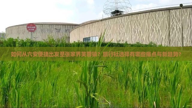 如何从六安便捷出发至张家界芙蓉镇？旅行社选择有哪些痛点与新趋势？