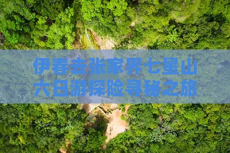 伊春去张家界七星山六日游探险寻秘之旅