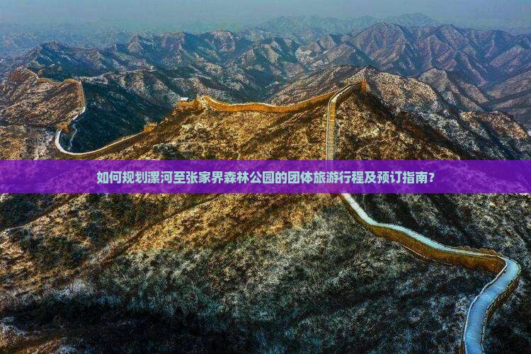 如何规划漯河至张家界森林公园的团体旅游行程及预订指南？