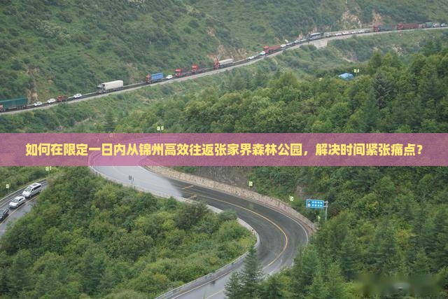 如何在限定一日内从锦州高效往返张家界森林公园，解决时间紧张痛点？