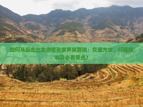 如何从崇左出发游览张家界芙蓉镇：交通方式、行程规划及必看景点？