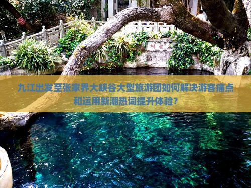 九江出发至张家界大峡谷大型旅游团如何解决游客痛点和运用新潮热词提升体验？