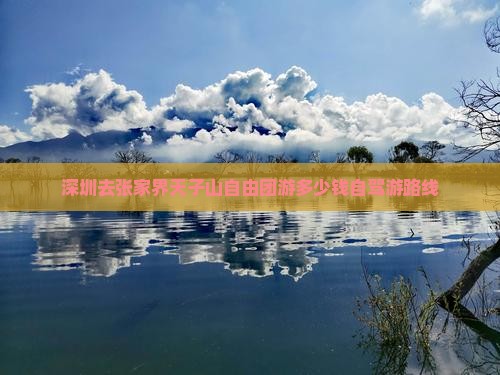 深圳去张家界天子山自由团游多少钱自驾游路线