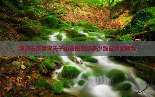 深圳去张家界天子山自由团游多少钱自驾游路线