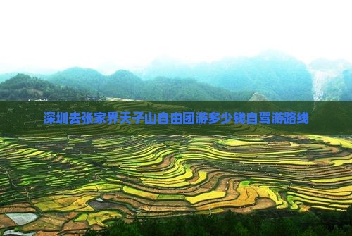 深圳去张家界天子山自由团游多少钱自驾游路线