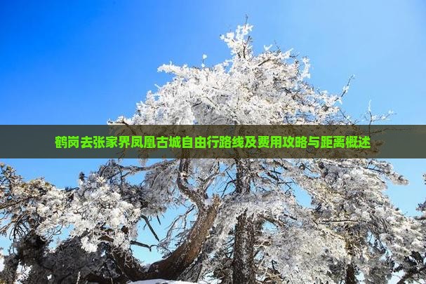 鹤岗去张家界凤凰古城自由行路线及费用攻略与距离概述