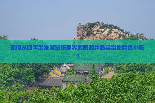 如何从四平出发游览张家界武陵源并品尝当地特色小吃？