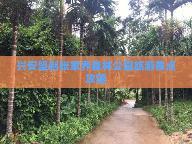 兴安盟到张家界森林公园旅游景点攻略