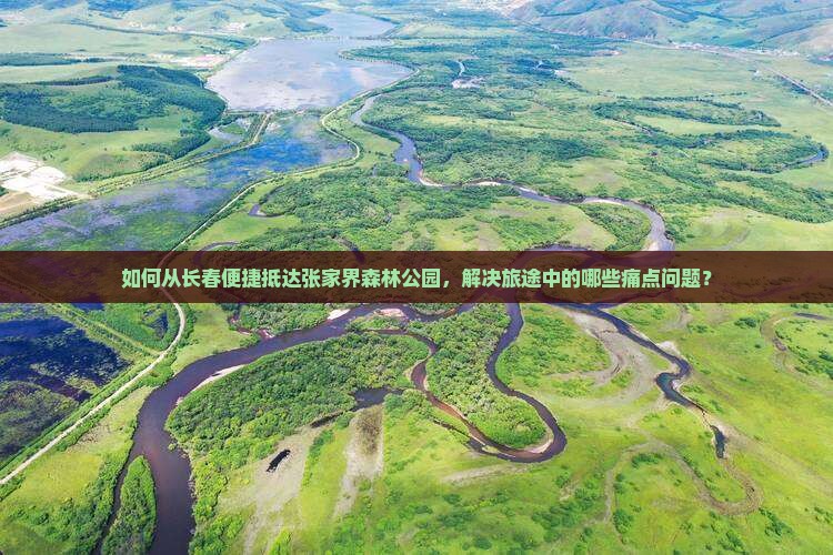 如何从长春便捷抵达张家界森林公园，解决旅途中的哪些痛点问题？