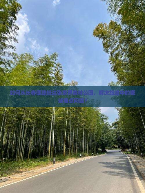 如何从长春便捷抵达张家界森林公园，解决旅途中的哪些痛点问题？