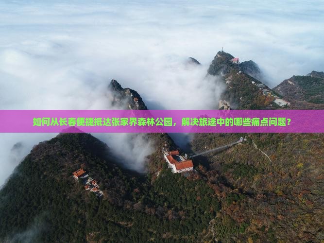 如何从长春便捷抵达张家界森林公园，解决旅途中的哪些痛点问题？