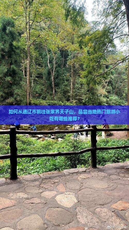 如何从通辽市前往张家界天子山，品尝当地热门旅游小吃有哪些推荐？