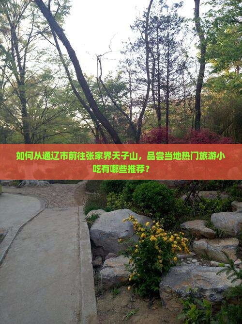 如何从通辽市前往张家界天子山，品尝当地热门旅游小吃有哪些推荐？