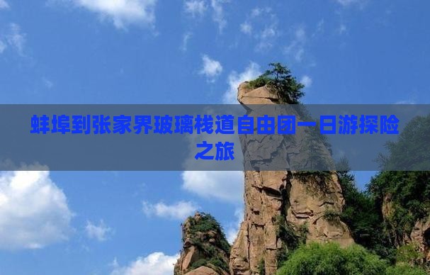 蚌埠到张家界玻璃栈道自由团一日游探险之旅