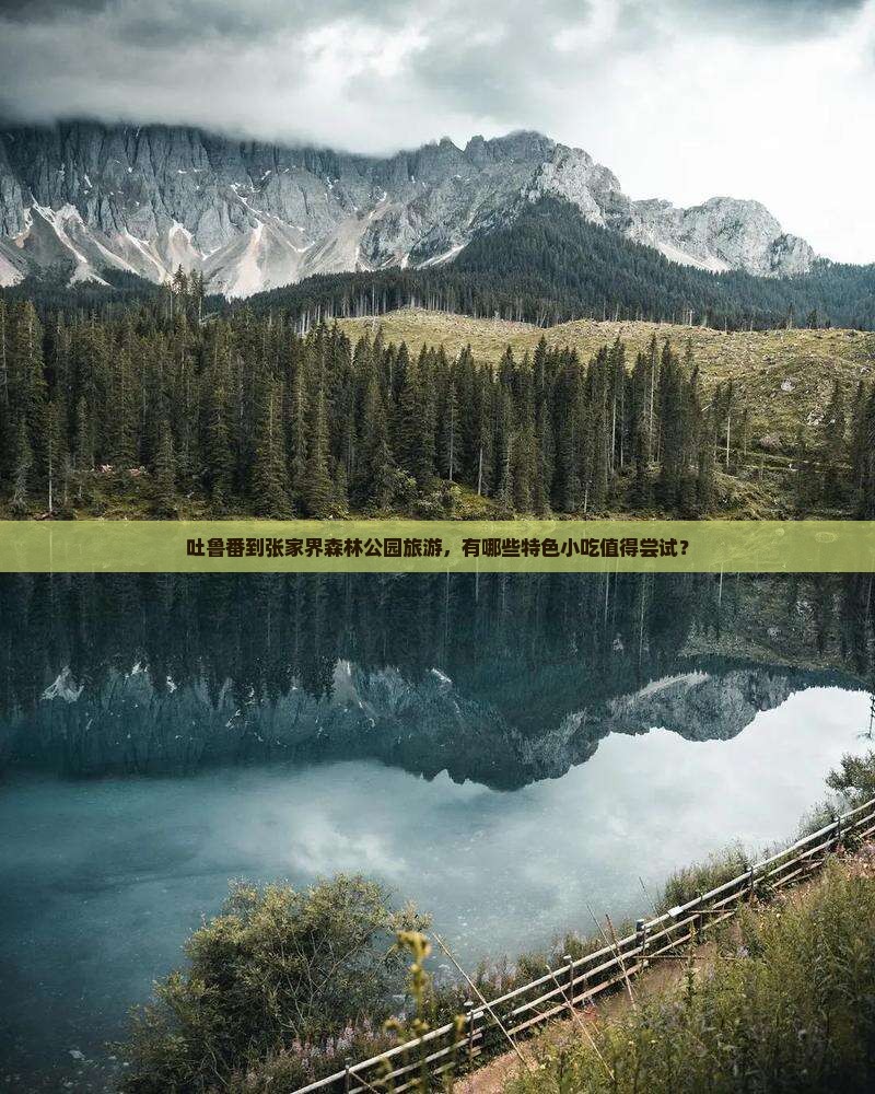吐鲁番到张家界森林公园旅游，有哪些特色小吃值得尝试？