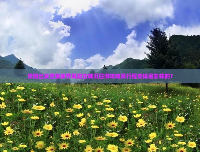 贵阳出发至张家界凤凰古城五日游攻略及行程安排是怎样的？