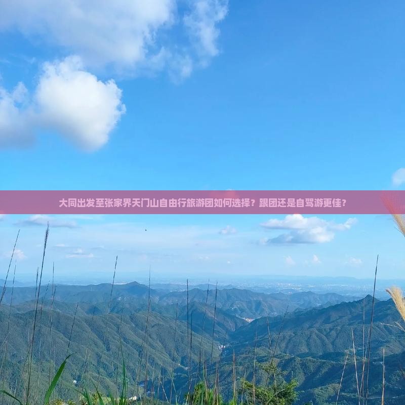 大同出发至张家界天门山自由行旅游团如何选择？跟团还是自驾游更佳？