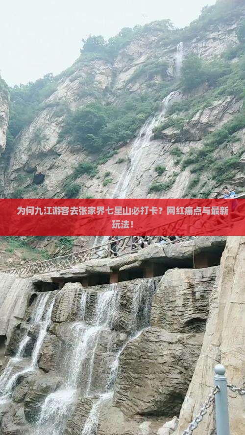 为何九江游客去张家界七星山必打卡？网红痛点与最新玩法！