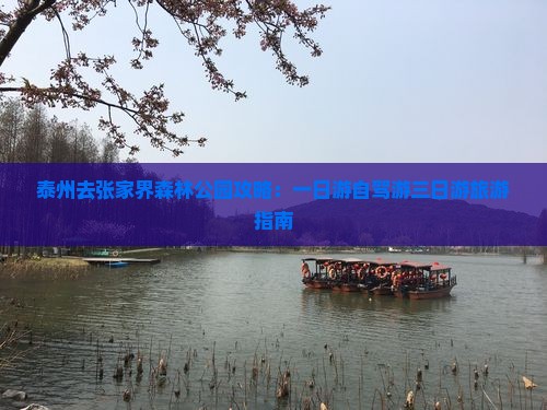 泰州去张家界森林公园攻略：一日游自驾游三日游旅游指南