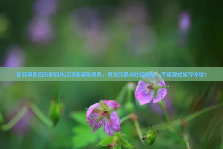 如何用四日游时间从辽源畅游张家界，解决交通与住宿痛点，享柿浸式旅行体验？