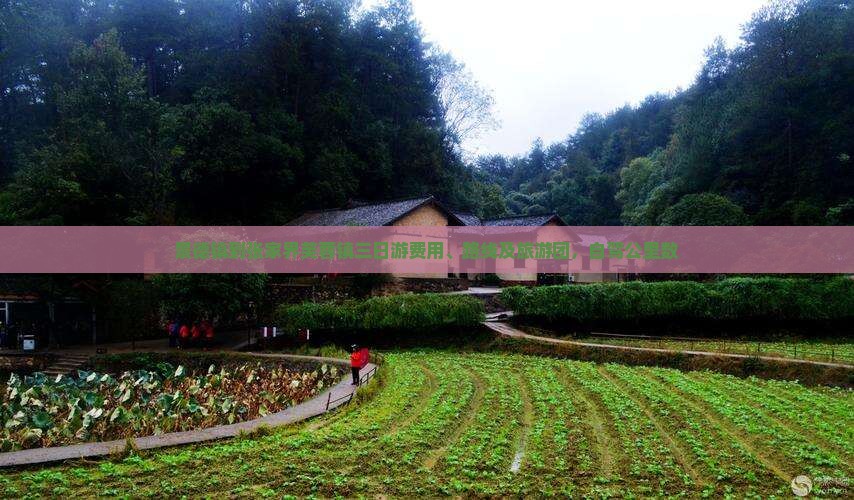 景德镇到张家界芙蓉镇三日游费用、路线及旅游团，自驾公里数