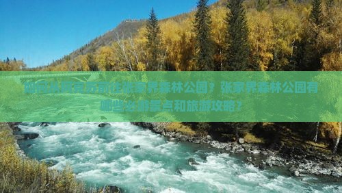 如何从阿克苏前往张家界森林公园？张家界森林公园有哪些必游景点和旅游攻略？