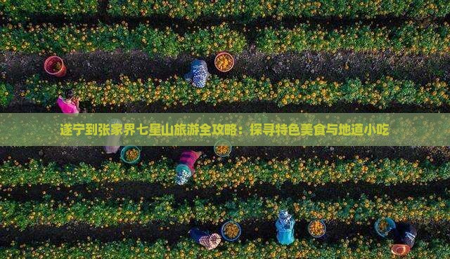 遂宁到张家界七星山旅游全攻略：探寻特色美食与地道小吃