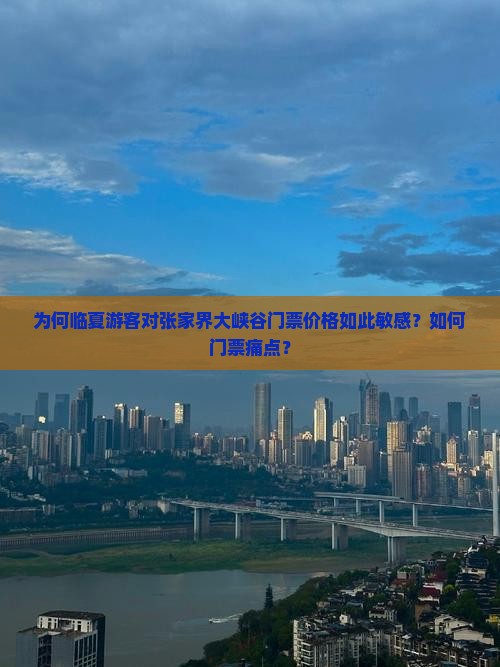 为何临夏游客对张家界大峡谷门票价格如此敏感？如何门票痛点？