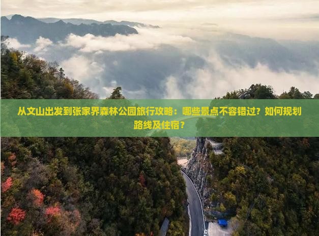从文山出发到张家界森林公园旅行攻略：哪些景点不容错过？如何规划路线及住宿？