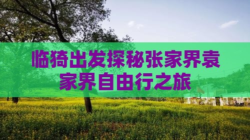 临猗出发探秘张家界袁家界自由行之旅