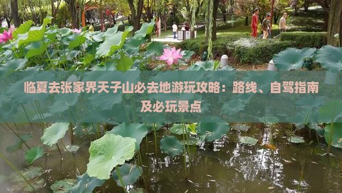 临夏去张家界天子山必去地游玩攻略：路线、自驾指南及必玩景点