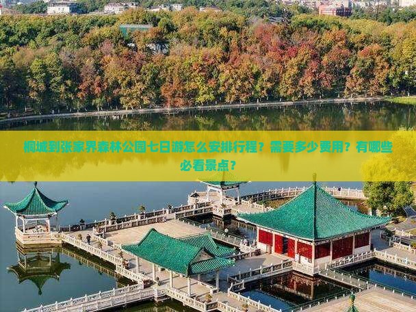 桐城到张家界森林公园七日游怎么安排行程？需要多少费用？有哪些必看景点？