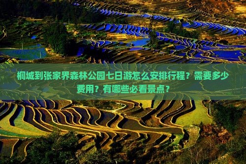 桐城到张家界森林公园七日游怎么安排行程？需要多少费用？有哪些必看景点？